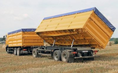 Услуги зерновозов для перевозки зерна - Красный Кут, цены, предложения специалистов