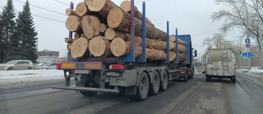 Поиск транспорта для перевозки леса, бревен и кругляка стоимость услуг и где заказать - Саратов